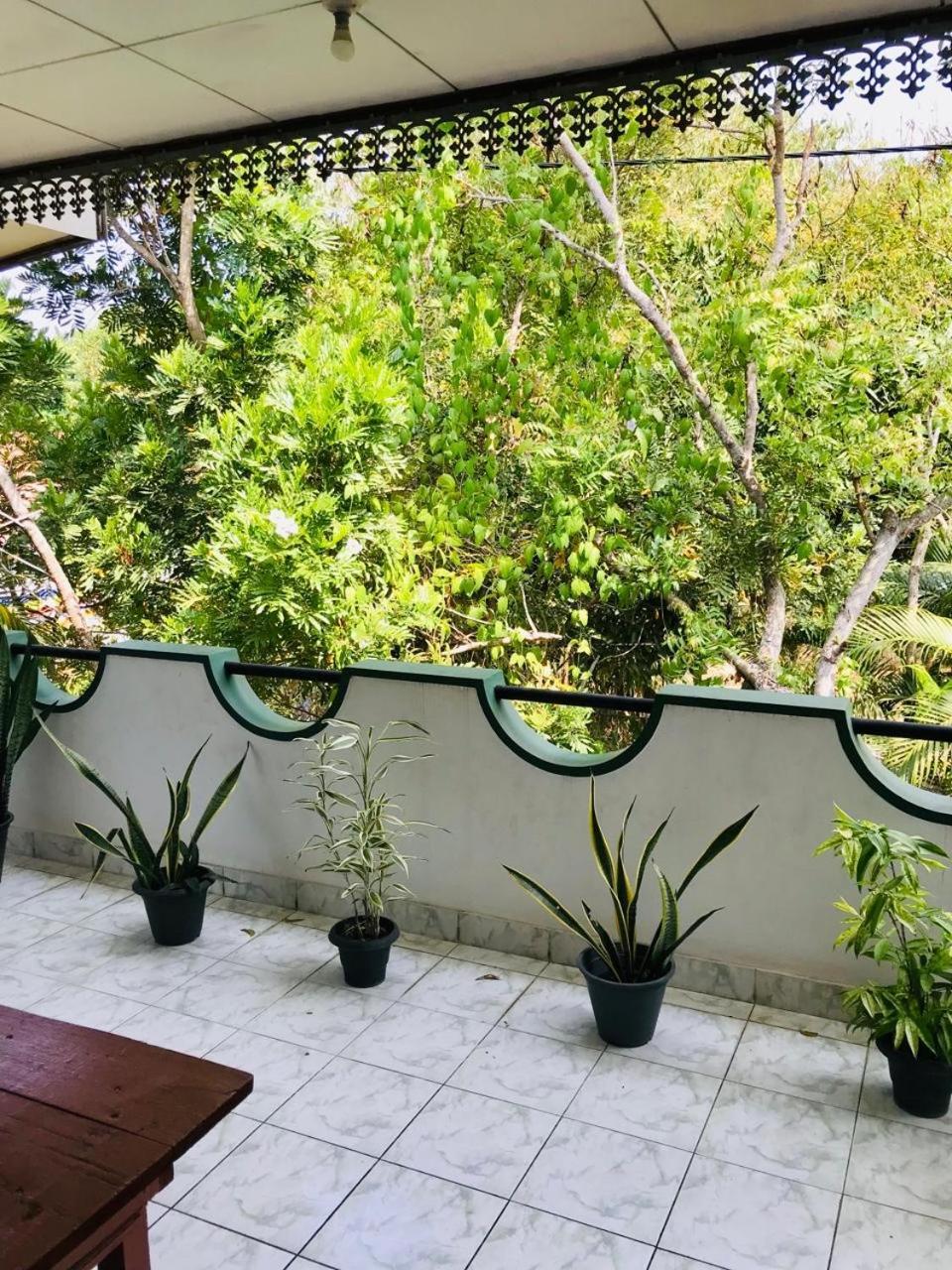 Dana Guest Home 米瑞莎 外观 照片
